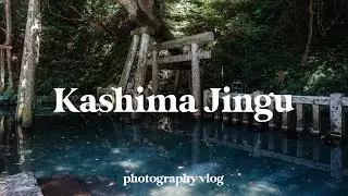 A Day of Photography | Kashima Jingu