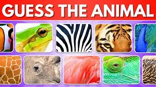 Guess the Animal From Its Zoomed Image | Close up Picture Quiz