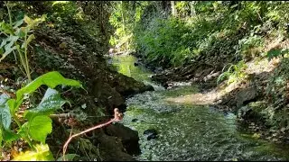 Peaky Dippers History Hunting Live