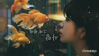 지아 (Zia)  🐳  사랑..그게 뭔데  (가사)