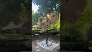 Triceratops 3D Printed Skull for Zoo Prague