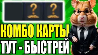 КОМБО КАРТЫ УЖЕ ЗДЕСЬ - БЫСТРЕЙ! HAMSTER KOMBAT 31.05 - COMBO CARDS