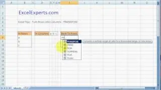 ExcelExperts.com - Excel Tips - Transpose Turn Rows into Columns