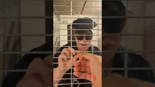 THIS is How to ESCAPE Any Sticky Situation