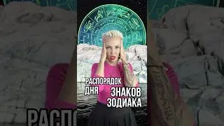 Распорядок дня Знаков Зодиака 