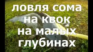 Ловля сома на квок на глубинах от 2 да 5 метров. Учимся читать эхолот.