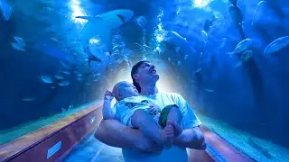 GROOTSTE AQUARIUM VAN EUROPA BEZOEKEN! #4076 #4077 #4078 #4079