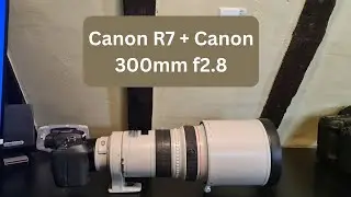 Canon R7 - How Well Does it Work on The Canon 300mm F2.8?