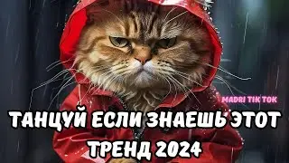 💗ТАНЦУЙ ЕСЛИ ЗНАЕШЬ ЭТОТ ТРЕНД 2024💗