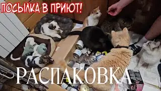 ❤️Распаковка посылки из Германии в домашнем приюте Дари добро Нск /Благодарность от Доброхвостиков 🙏