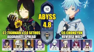 C2 Tighnari x C4 Sethos Aggravate Spread & C6 Chongyun Melt | Spiral Abyss 4.8 | Genshin Impact 【原神】