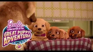 Meet Honey, Rookie, and DJ | Barbie & Her Sisters in a Great Puppy Adventure | @Barbie