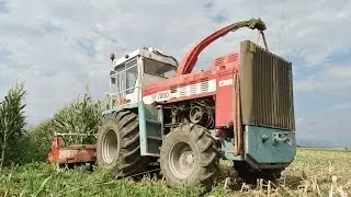 Mais Silage | MENGELE SF 7000 + Kemper Champion 4500 | Case + Same + Valtra | Barbisan