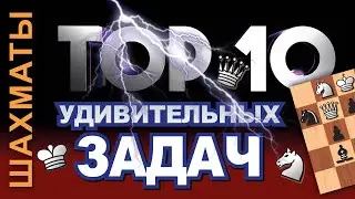 Топ-10 ШАХМАТНЫХ ЗАДАЧ 2-го порядка! Реши, если сможешь! 👑 The Best of Chess TASKS - PUZZLES