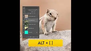 6 SHORTCUTS IN 60 SECONDS | Photoshop Quick Keyboard Shortcuts | 