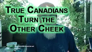 True Canadians Turn the Other Cheek, Until They Don’t: Hold Your Ground, Seek Retribution