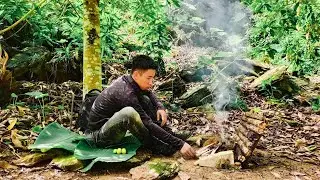 24 Hours solo Survival Challenges (Search Wild Food) Survival Skills in the Forest - Get $500 Bonus