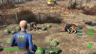 GeForce GTX 1050 ti -- Intel Core i3-8100 -- Fallout 4 FPS Test