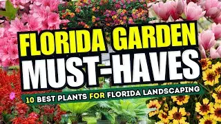 🌴🌞 FLORIDA GARDEN MUST-HAVES! Top 10 Best Plants for Florida Landscaping ✨