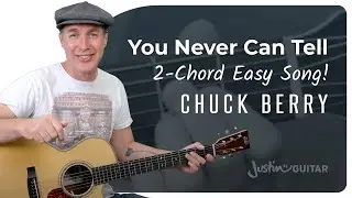 You Never Can Tell Easy Guitar Lesson | Chuck Berry