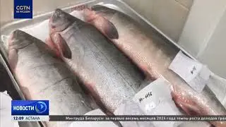 Российские ученые изучают влияние сбросов с АЭС «Фукусима-1» на воды Тихого океана