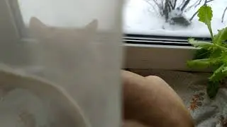 WINTER IN SIBERIA 2
