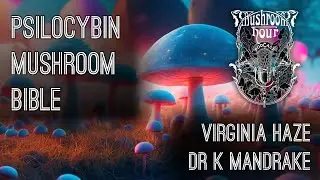 The Psilocybin Mushroom Bible & A Quickly Changing Kaleidoscope