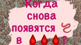 Черви 🪱 из 🩸 исчезли. Надолго ли?