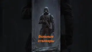 S.T.A.L.K.E.R - группировка Вольные сталкеры. Рассказчик Сидорович       