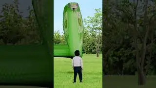 Green anaconda | snake video || green cobra #viral