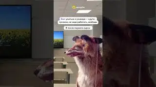 Дэд инсайды здесь? 🫠 