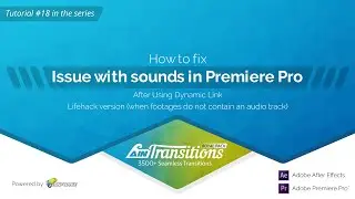 #18. How to fix issue with sounds in Premiere Pro - Lifehack version