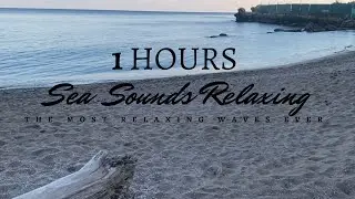 1HOURS Sea SOUNDS for Deep Sleep | Waves Crashing onto the Beach