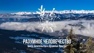 Связь С Родом