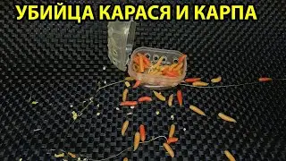 Убийца карася НОВОГО ПОКОЛЕНИЯ,снасть на карася,монтаж на карася,homemade fishing gear,