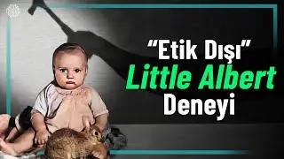 Tartışmalı "Little Albert" Deneyi