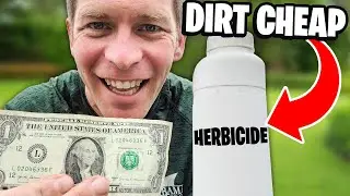 Cheap Weed Killer Pros Use for Under $1 per Lawn