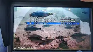 Настройки osd меню на чистом водоеме
