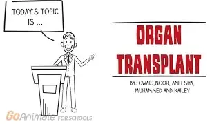 How does the system of organ transplantation work?