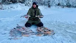 ОТОГРЕЛСЯ В ПАЛАТКЕ И ПОШЕЛ ТЯГАТЬ БЕЗ ПЕРЕРЫВА. ПОДКОВА ПОСЛЕ ПЕРВОГО ЛЬДА. ЧАСТЬ 3.