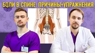 Боль в спине при сидячем образе жизни + упражнения