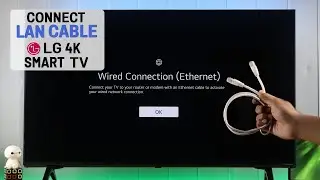 LG Smart 4K TV: How To Connect Wired Ethernet LAN to WebOS TV! [Cable]