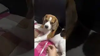 Wait for it 😂😂