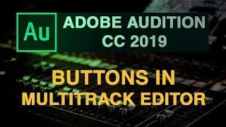 Understand the buttons in Multi track Editor in Adobe Audition cc 2019