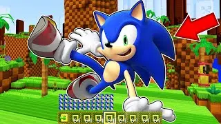 КАК ИГРАТЬ ЗА СОНИК В МАЙНКРАФТ ? МАЙНКРАФТ ПРЕВРАЩЕНИЯ SONIC MINECRAFT