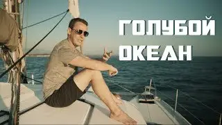 Голубой океан | Александр Перевезенцев