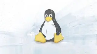 Linux Basics Tutorial for Beginners: Linux Fundamentals