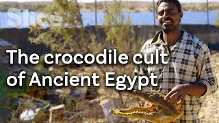 Man-made lake that saved crocodiles | SLICE