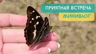 МиниВлог / Новости природы и приятная встреча☺️