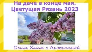 На даче в конце мая. Цветущая Рязань 2023. Отдых и осим хаим с Анжелиной. Красоты Рязани. Сирень